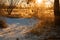 Corn white field in winter at dawn