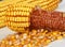 Corncob background