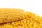 Corncob on a bulk of corn grains.