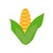 Corncob icon vector isolated on white background, Corncob sign