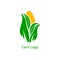 Corncob logo design. Yellow corn seed and green leaf isolated on white background. Vector organic grain illustration