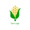 Corncob logo design. Yellow corn seed and green leaf isolated on white background. Vector organic grain illustration