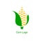 Corncob logo design. Yellow corn seed and green leaf isolated on white background. Vector organic grain illustration