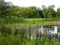 Cornell Botanic Garden Houston Pond cattails and benches