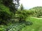 Cornell Botanic Garden stream walking trail