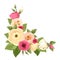 Corner background with pink and orange roses, lisianthuses and ranunculus flowers. Vector illustration.