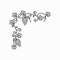 Corner border of grape vine bunches, outline decor