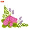 Corner composition. Pink rose flowers with leaves, buds, rosehip and fern