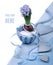 Corner decoration with bllue hyacinth and matching decorations o
