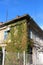 Corner of dilapidated small old office building almost completely covered with colorful fresh and dry crawler plants