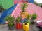 a corner of the garden on the rooftop with a pink and blue roof tile background