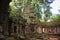 Corner of a monastery in Ta Prohm, Angkor, Cambodia