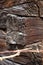 Corner of overlapping wooden beams on facade of ancient wooden farm house