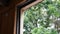 Corner of train open window take from inside see green trees