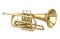 Cornet Brass Instrument Isolated