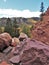 Cornet Creek Falls Trail in Telluride, Colorado