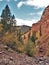 Cornet Creek Falls Trail in Telluride, Colorado