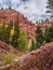 Cornet Creek Falls Trail in Telluride, Colorado