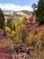 Cornet Creek Falls Trail in Telluride, Colorado