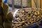 Cornet of roast chestnuts as street food