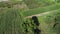 Cornfield aerial view. Agricultural field aerial view. Sustainable agriculture.