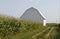 Cornfield with Barn