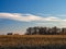 Cornfield and Barn in Autumn at Sunset