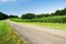 Cornfield by the Blue Ridge Parkway