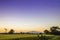 Cornfield evening sky in rural