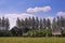 cornfield landscape with blue cloudy sky