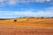 Cornfield landscape in the province of Soria, Spain