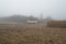 Cornfield mist and rainy day