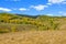 cornfield and mountain forest in the autumn