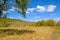 cornfield and mountain forest in the autumn