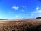 Cornfield near Crookham, Northumberland, England