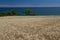 Cornfield over Portonovo Bay