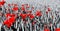 Cornfield and Poppies