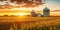 Cornfield with silos and farm in the distance