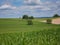 a cornfield somewhere on the france-switzerland border