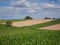 a cornfield somewhere on the france-switzerland border