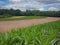 a cornfield somewhere on the france-switzerland border