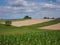 a cornfield somewhere on the france-switzerland border