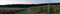 Cornfield and Vineyard Panorama in Pennsylvania