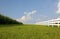 Cornfield and White Fence--Horizontal