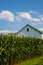 Cornfields with farms in background.