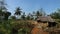 Cornfields, huts in the middle of fields, blue sky background