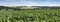 Cornfields and meadows under blue sky in french pas de calais near boulogne