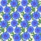 Cornflower seamless pattern