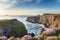 Cornish Clifftops