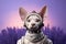 Cornish Rex Cat Dressed As An Astronaut On Lavender Color Background